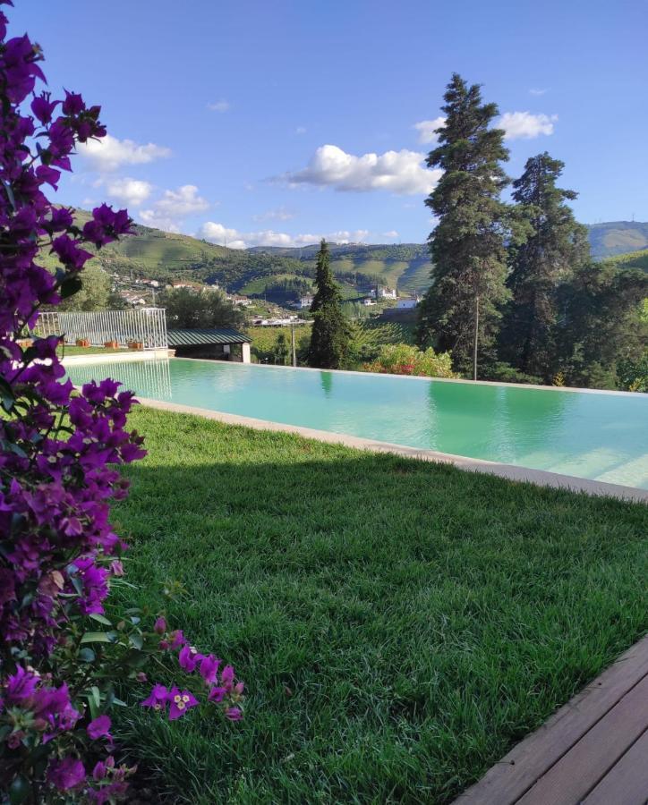 Quinta Da Travessa - Douro Hotel Covelinhas Eksteriør billede