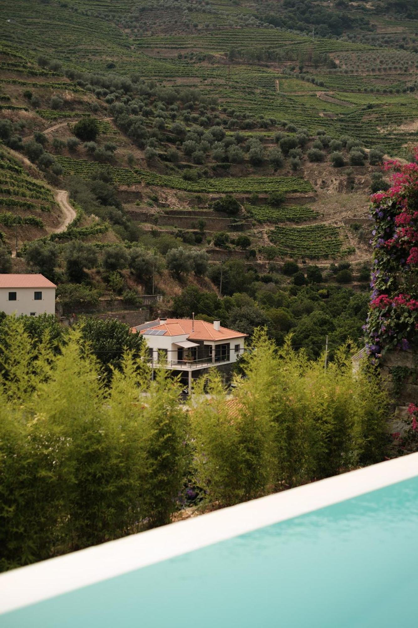 Quinta Da Travessa - Douro Hotel Covelinhas Eksteriør billede