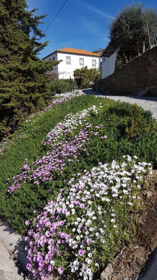 Quinta Da Travessa - Douro Hotel Covelinhas Eksteriør billede